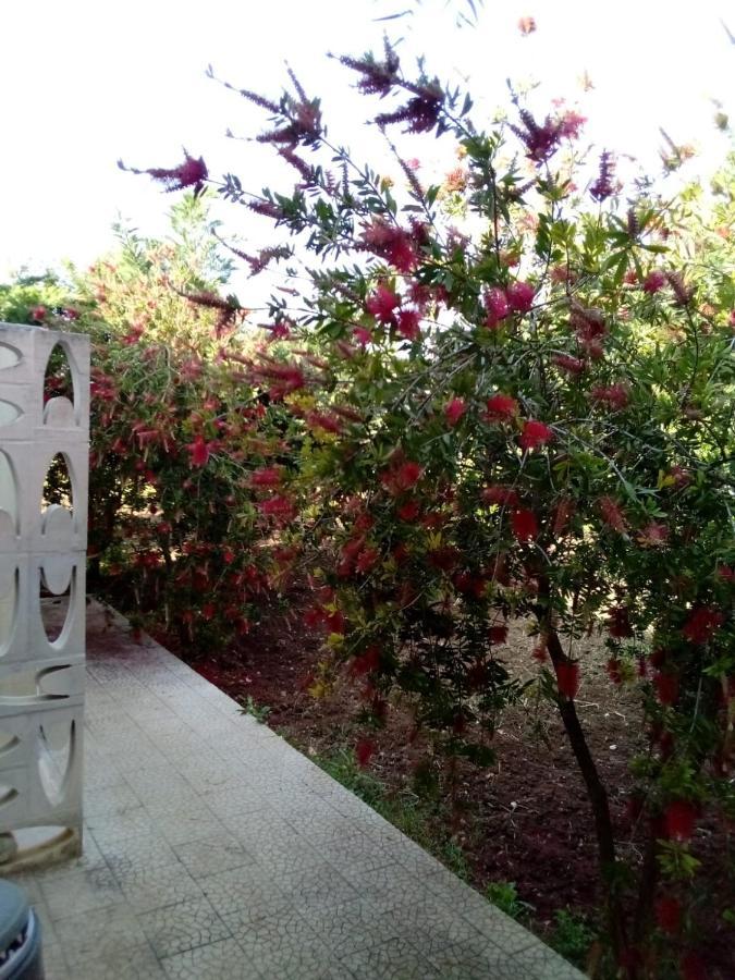 Villa Grazia Vieste Exterior photo